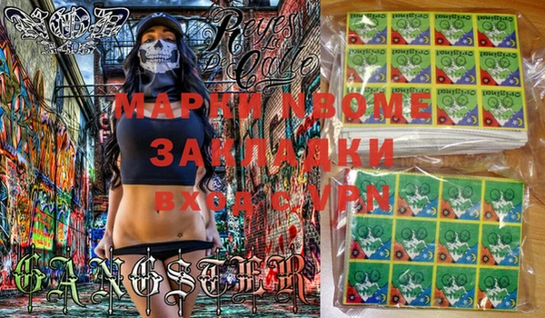 стаф Бородино
