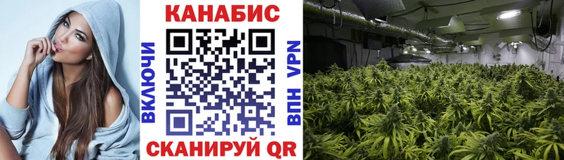 Бошки марихуана THC 21% мега сайт Домодедово